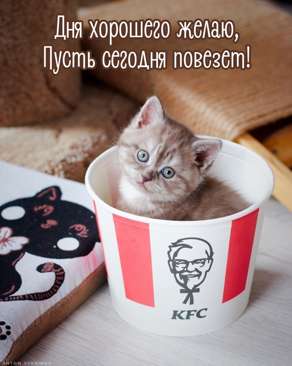 Дня хорошего желаю, пусть сегодня повезет!