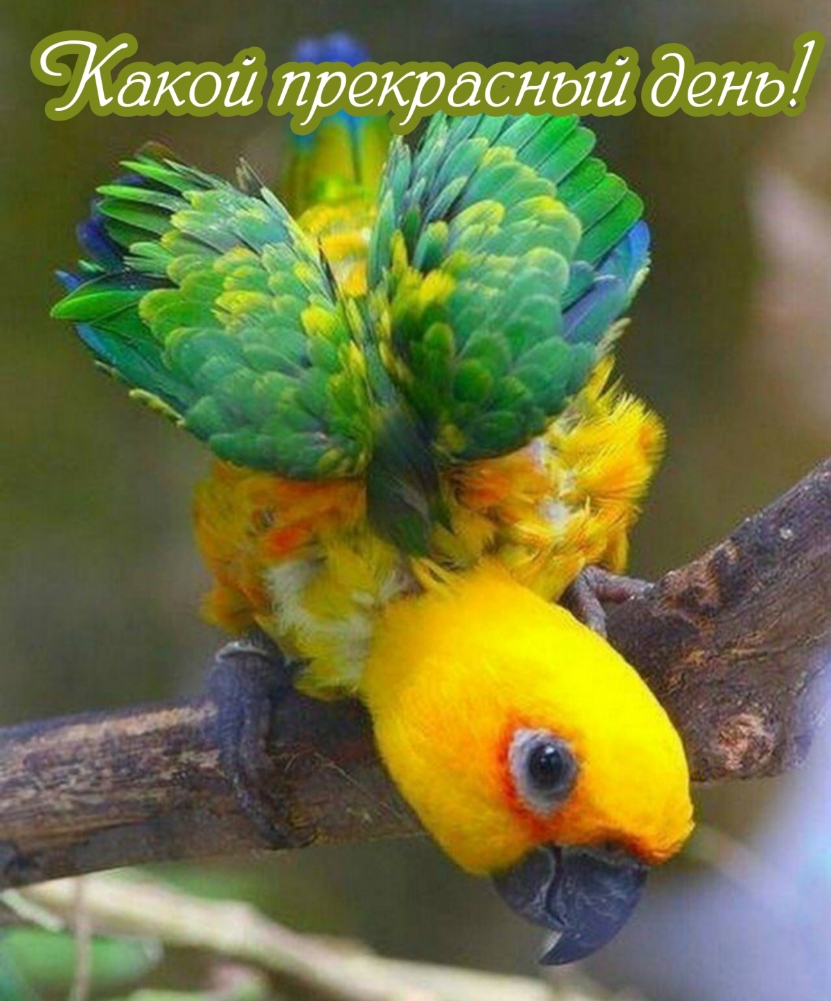 Какой прекрасный день!