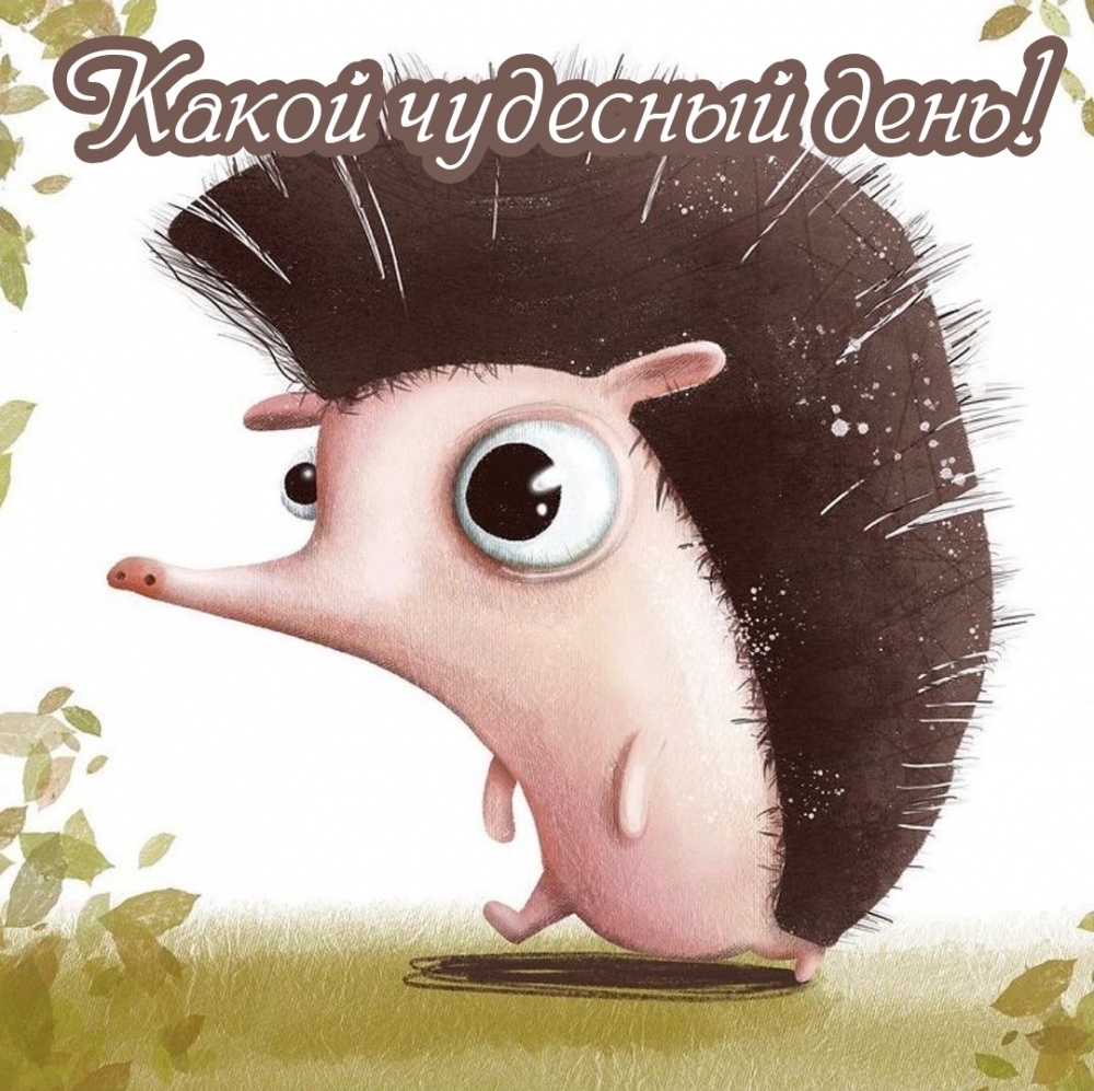 Какой чудесный день!