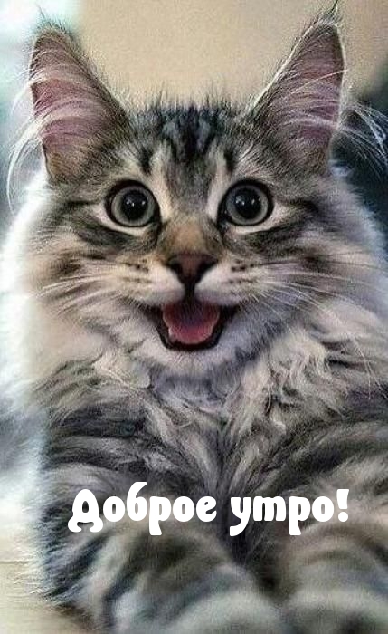 Доброе утро!
