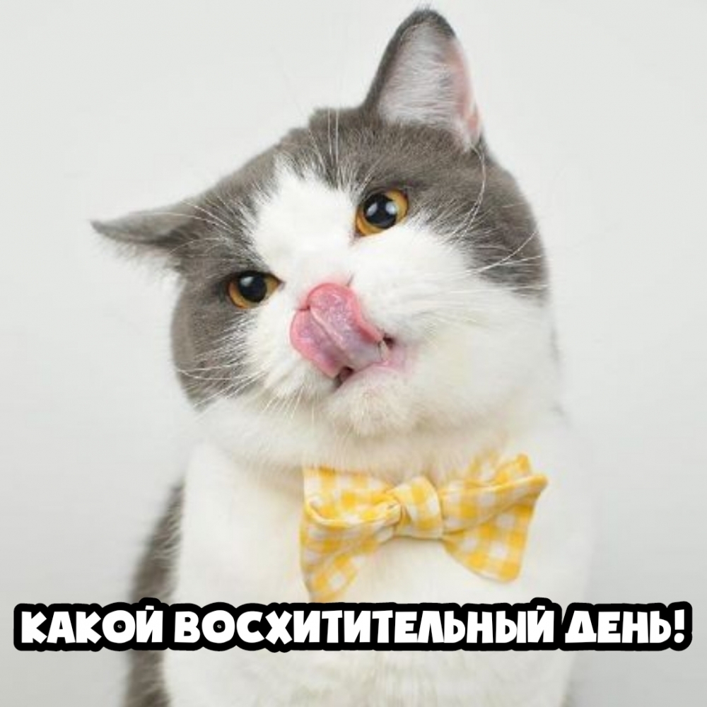 Какой восхитительный день!