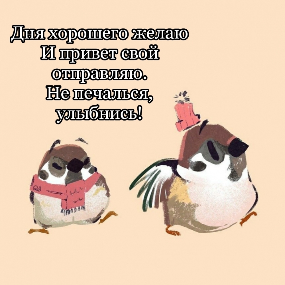 Дня хорошего желаю и привет свой отправляю!