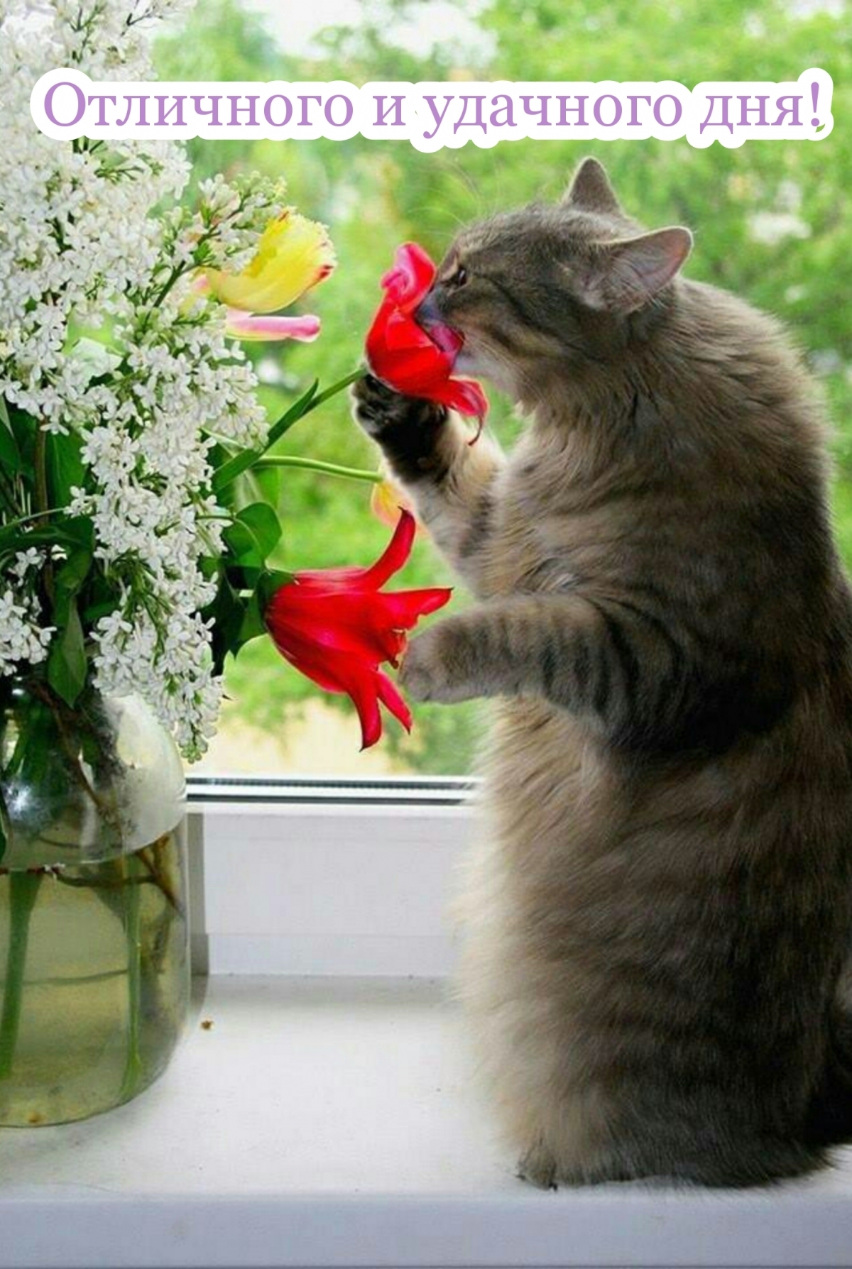 Отличного и удачного дня!