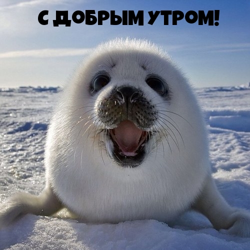 С добрым утром!