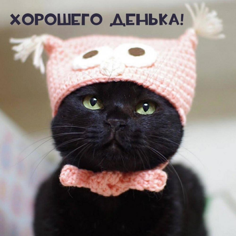 Хорошего денька!