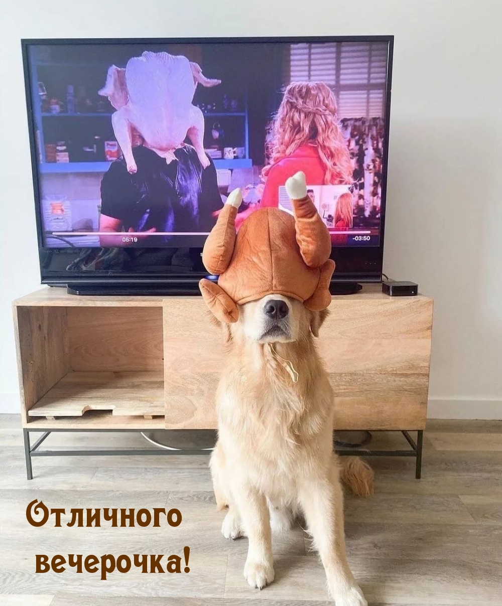 Отличного вечерочка!