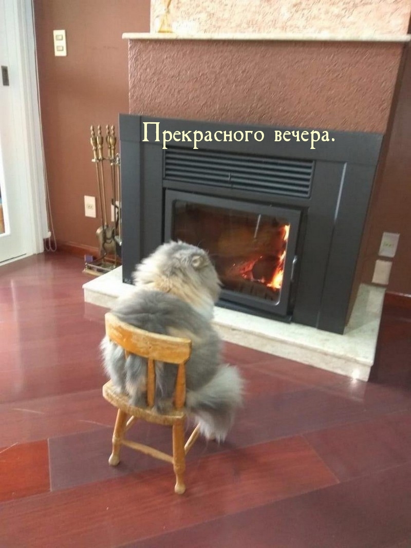 Прекрасного вечера.