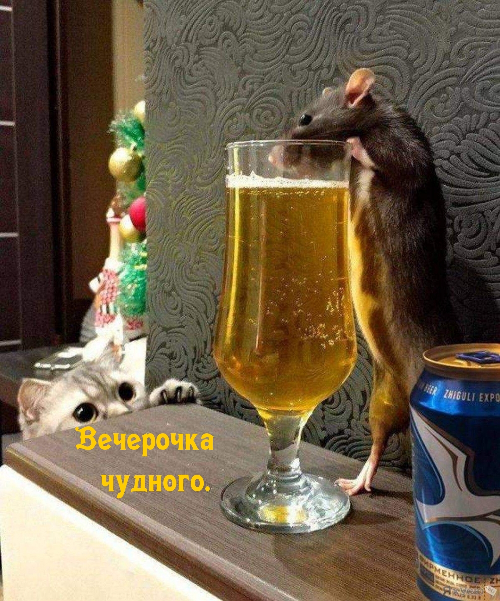 Вечерочка чудного.
