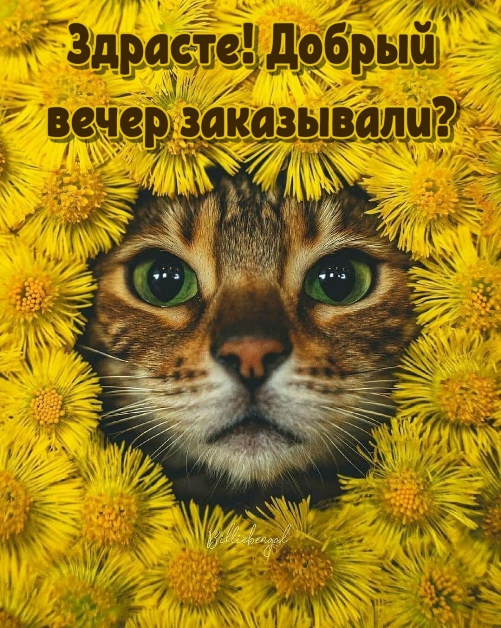 Здрасте! Добрый вечер заказывали?