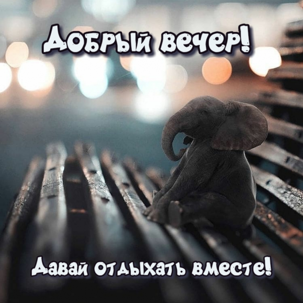 Добрый вечер! Давай отдыхать вместе!
