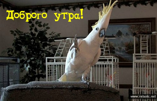 Доброго утра!