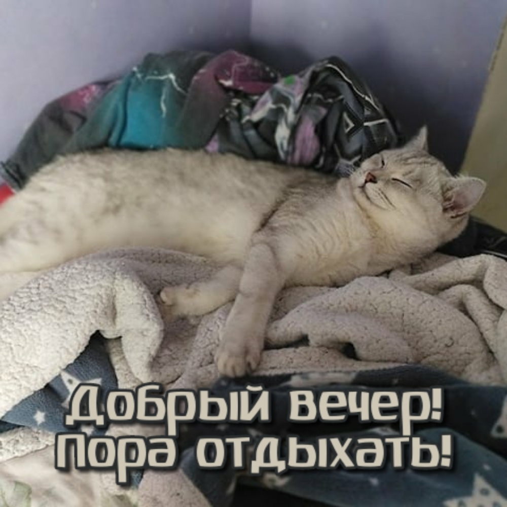 Добрый вечер! Пора отдыхать!