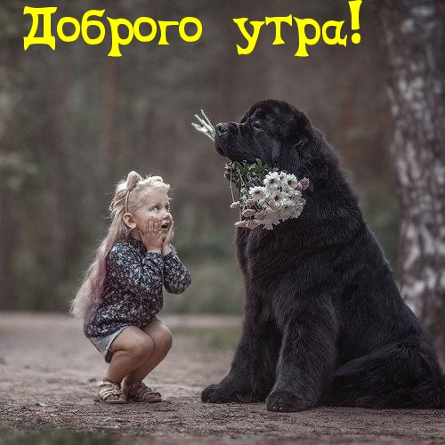Доброго утра!