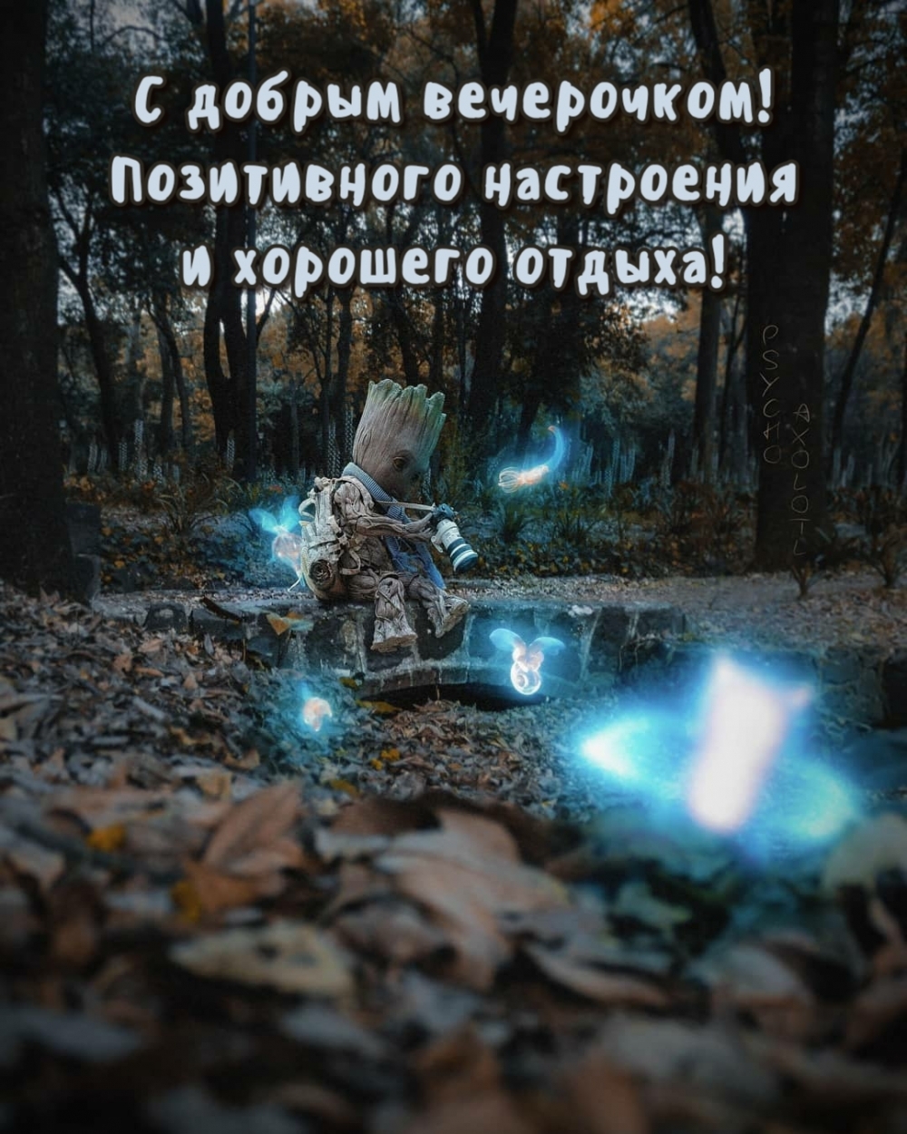 Позитивного настроения и хорошего отдыха!