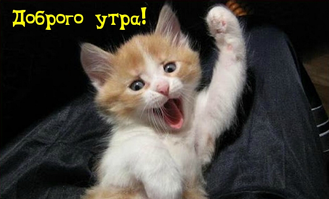 Доброго утра!