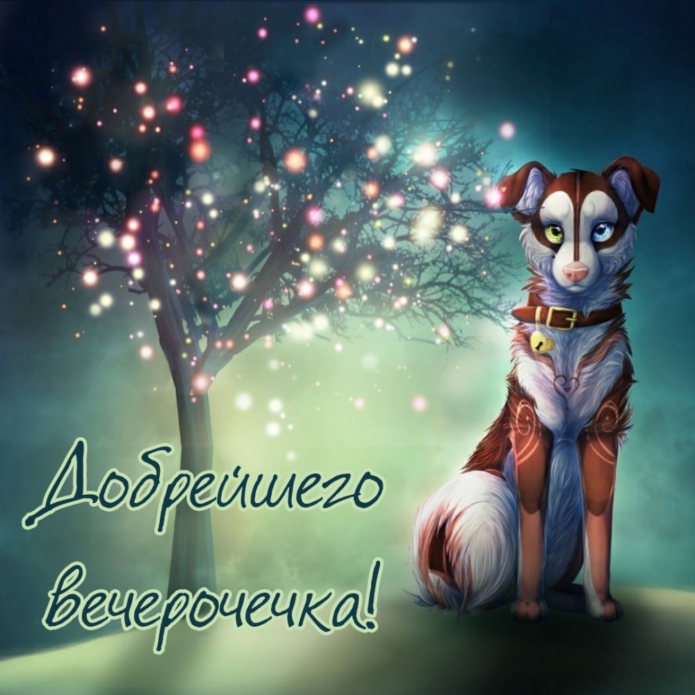 Добрейшего вечерочечка!