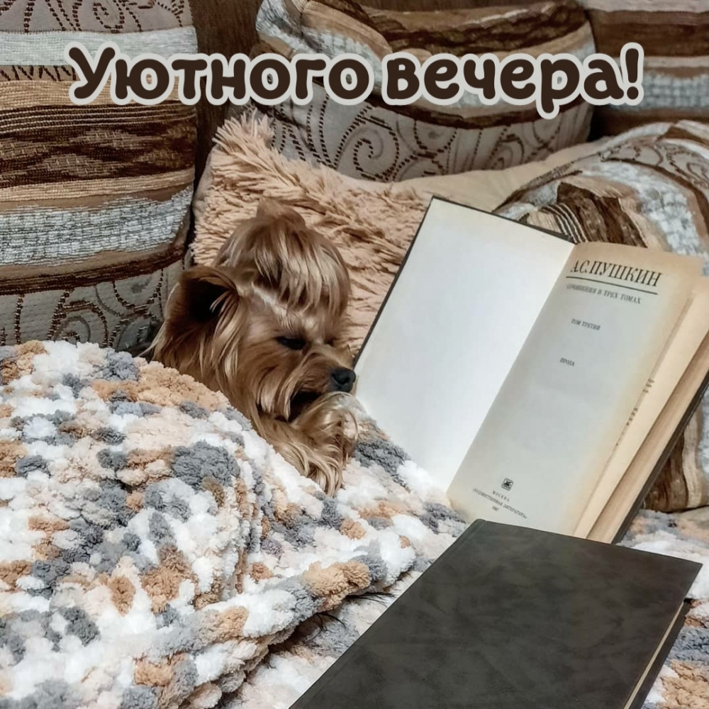 Уютного вечера!