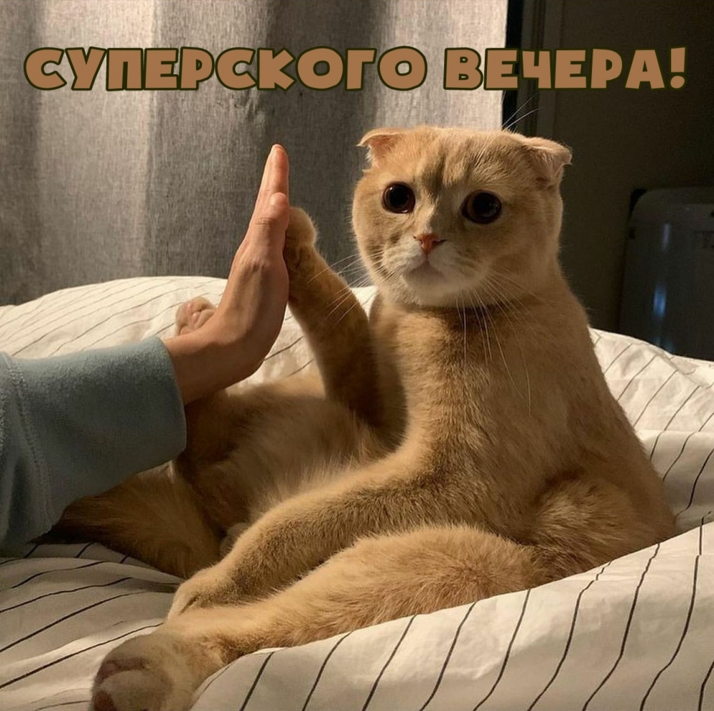 Суперского вечера!