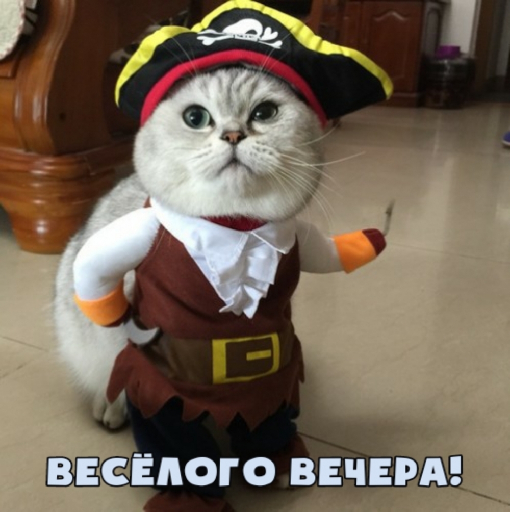 Весёлого вечера!