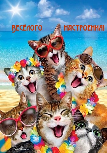 Весёлого настроения!