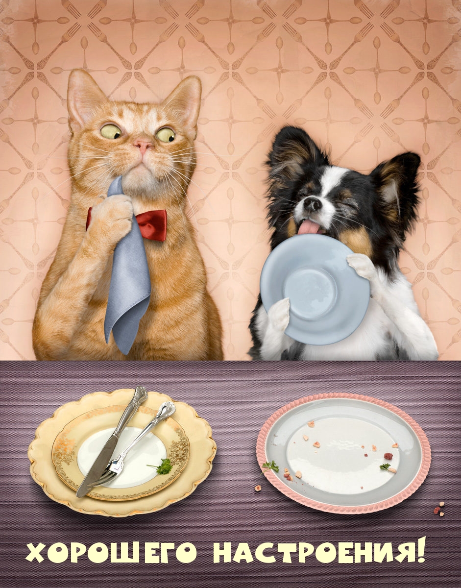 Хорошего настроения!