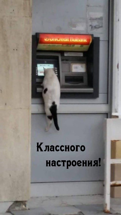 Классного настроения!