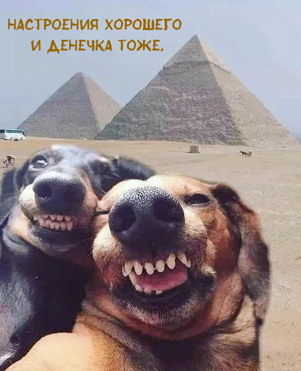 Настроения хорошего и денечка тоже.
