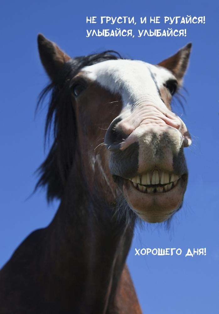 Не грусти, и не ругайся!