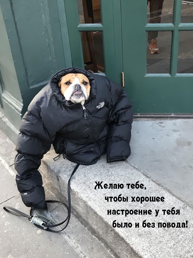 Желаю хорошего настроения без повода
