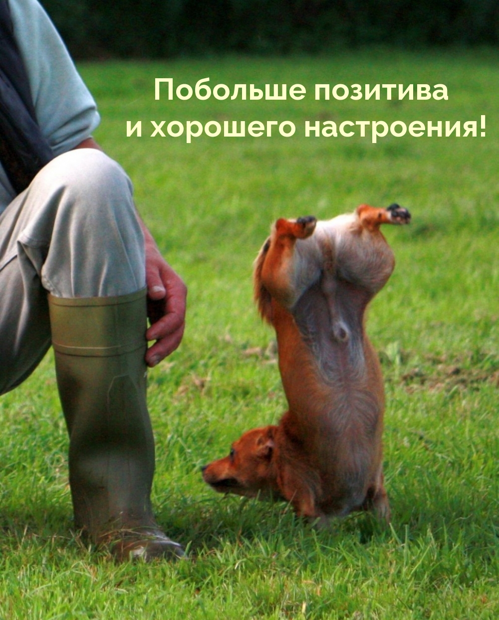 Побольше позитива и хорошего настроения!