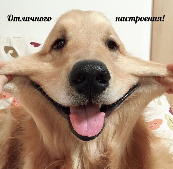 Отличного настроения!