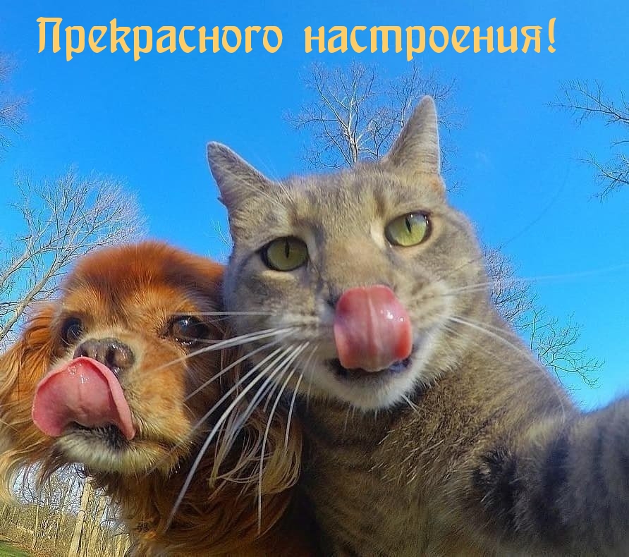 Прекрасного настроения!