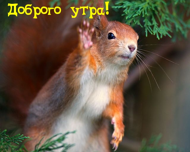 Доброго утра!
