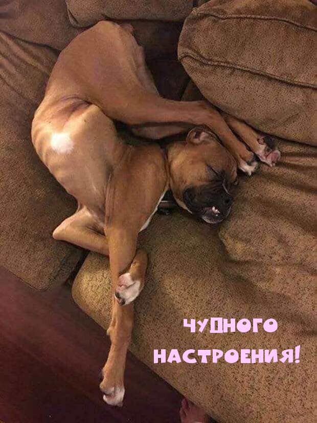 Чудного настроения!