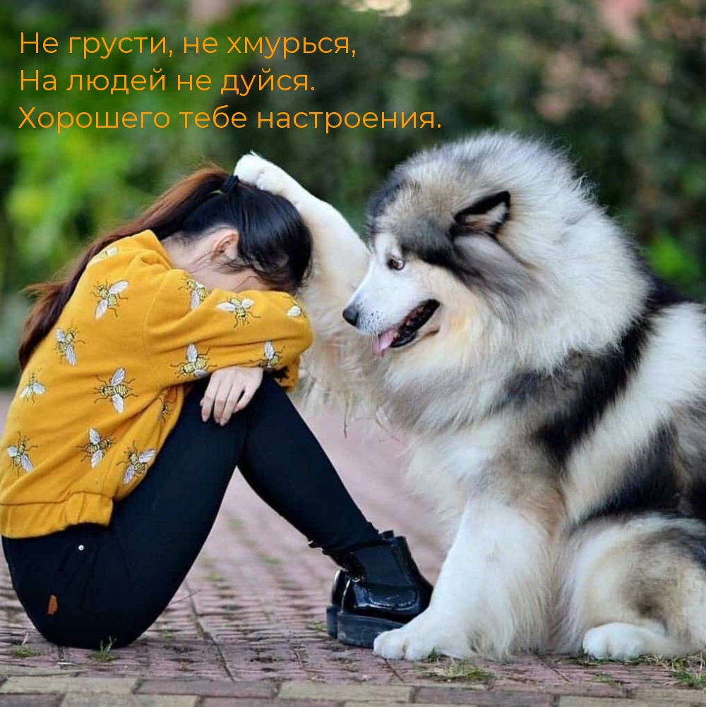 Не грусти, не хмурься, на людей не дуйся