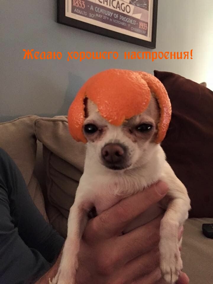 Желаю хорошего настроения!