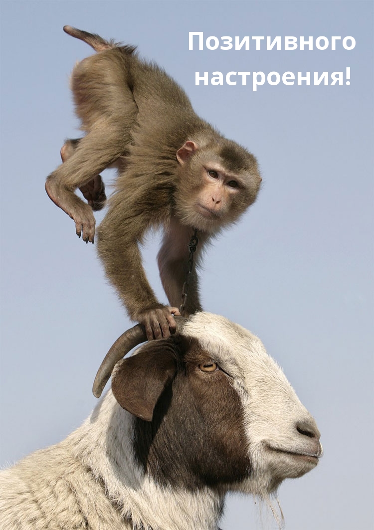 Позитивного настроения!