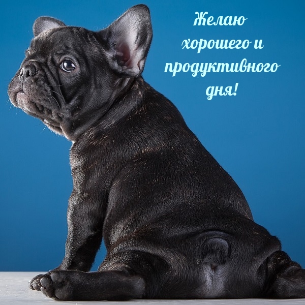 Желаю хорошего и продуктивного дня!