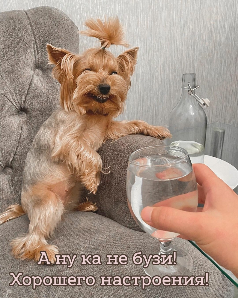 А ну ка не бузи! Хорошего настроения!