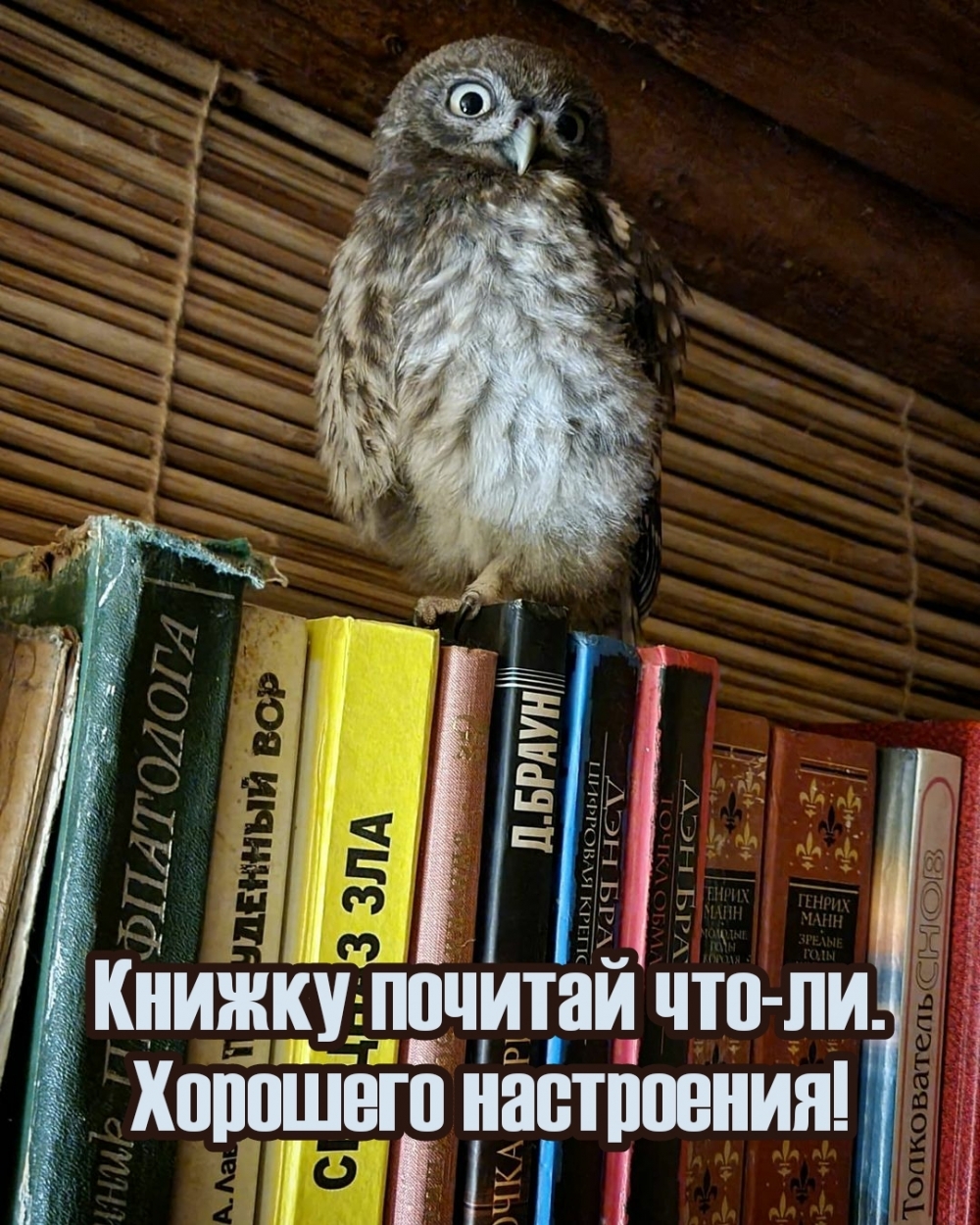 Книжку почитай что-ли. Хорошего настроения!