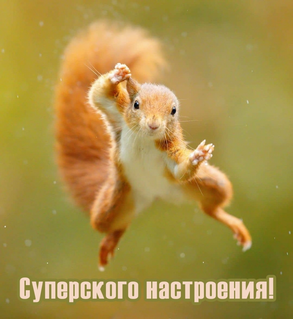 Суперского настроения!