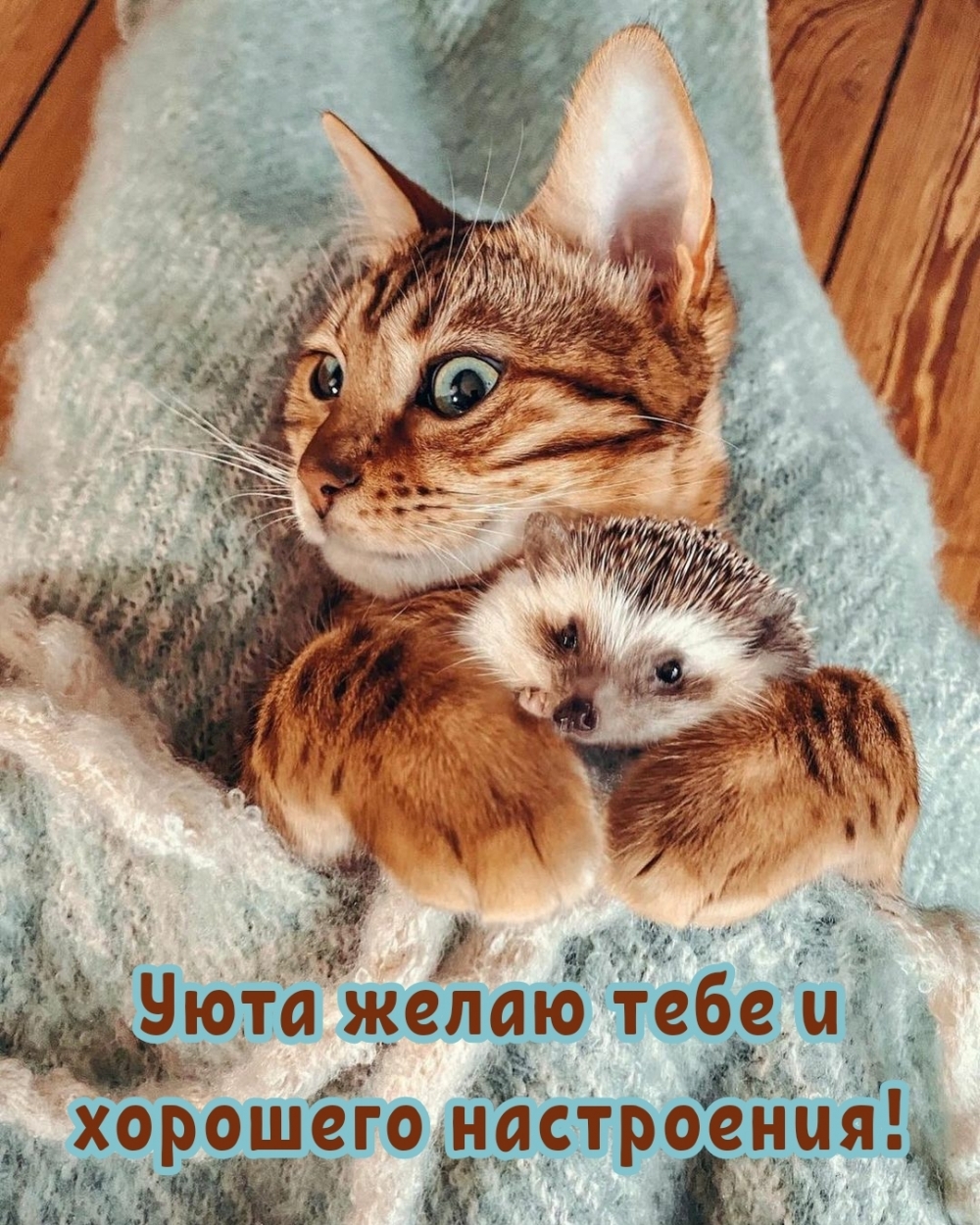 Уюта желаю тебе и хорошего настроения!