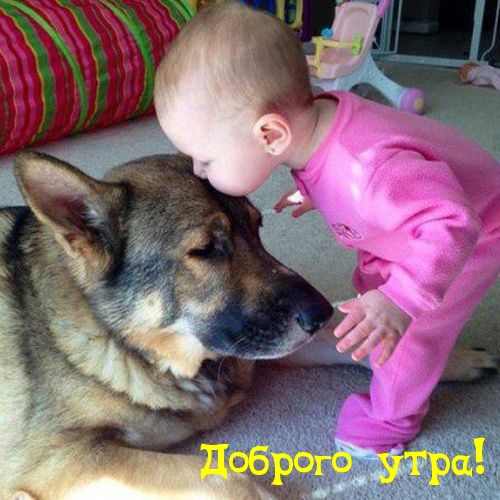 Доброго утра!