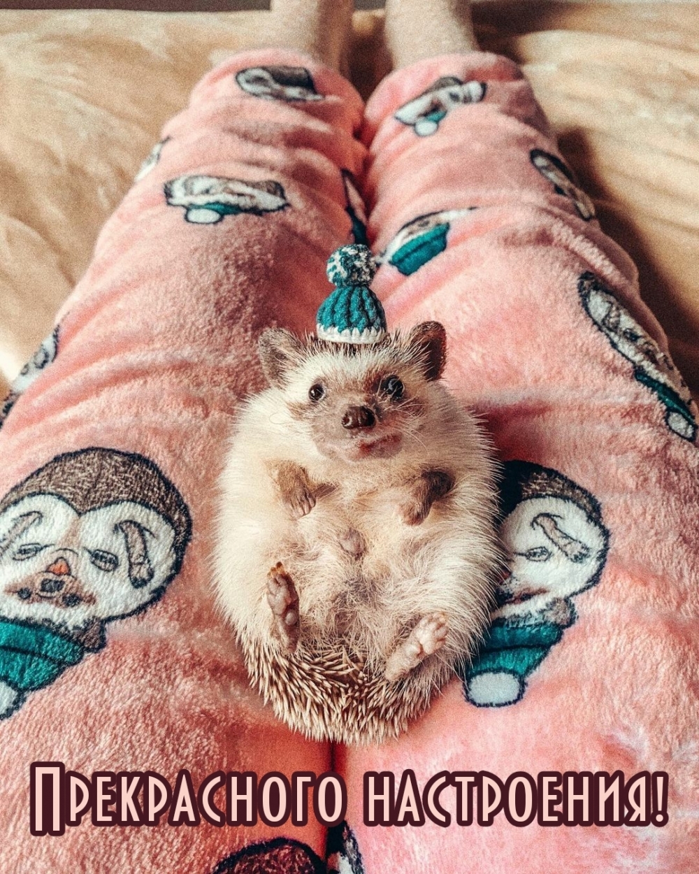 Прекрасного настроения!