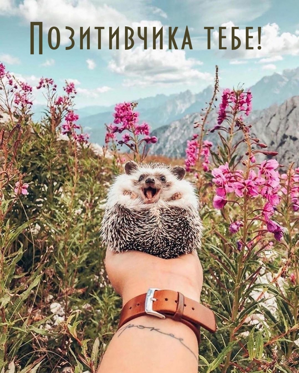 Позитивчика тебе!