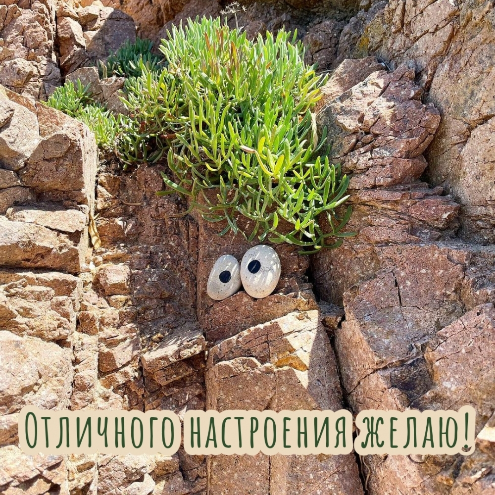 Отличного настроения желаю!