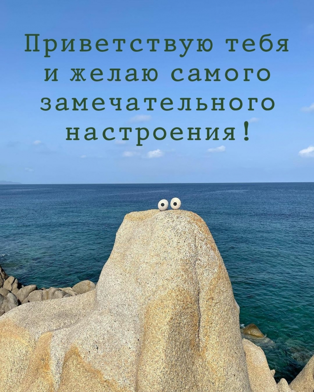 Приветствую тебя и желаю самого замечательного настроения!
