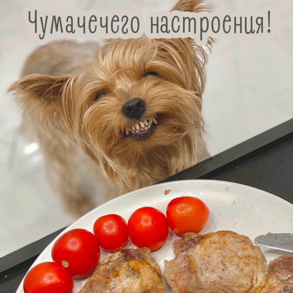Чумачечего настроения!