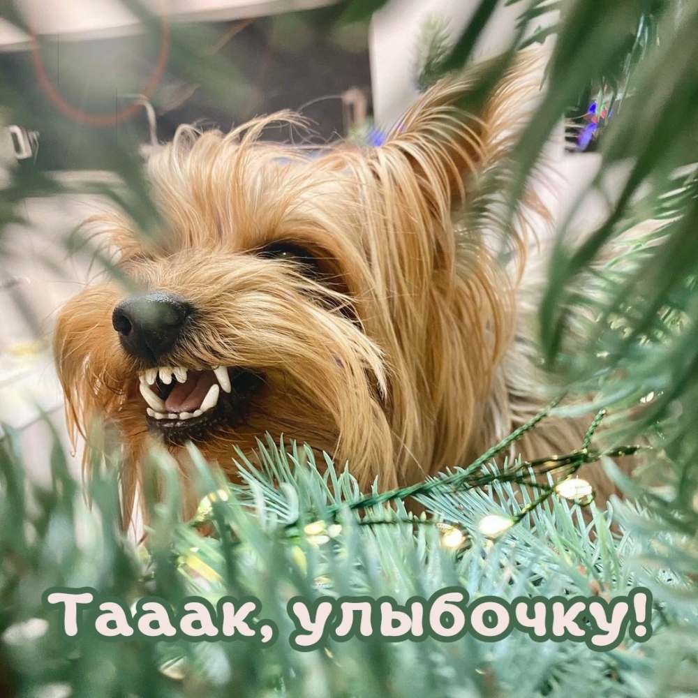 Тааак, улыбочку!