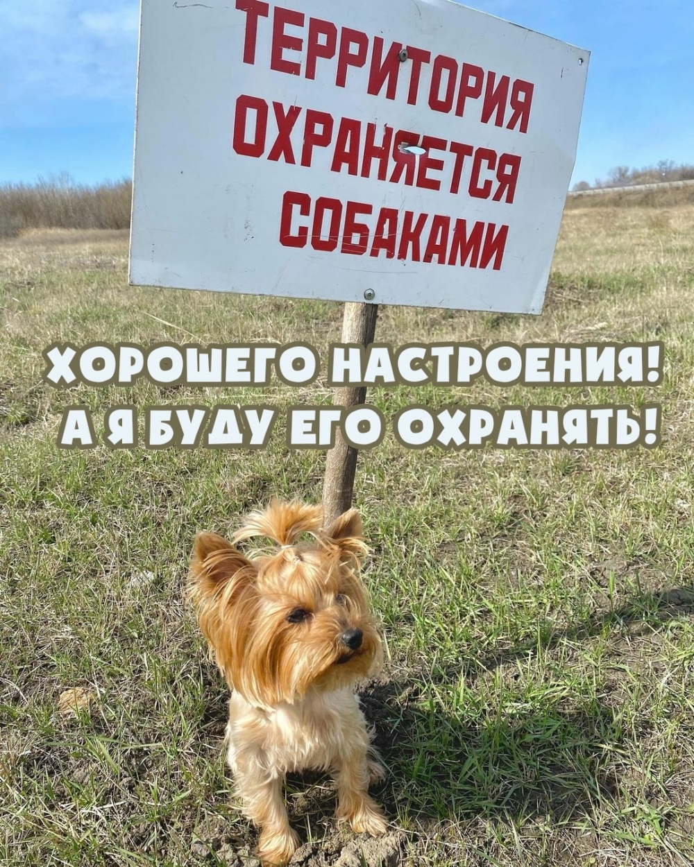 Хорошего настроения! А я буду его охранять!